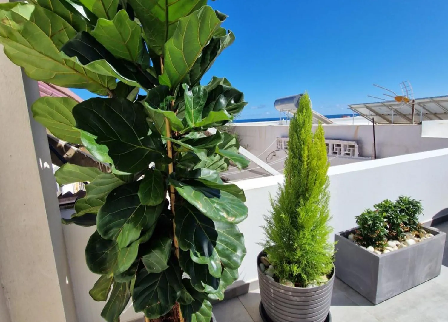 Ocean Surf Suite Playa Del Hombre 스페인